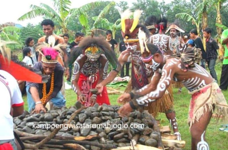 Ritual Adat Bakar Batu di Kepulauan Aru